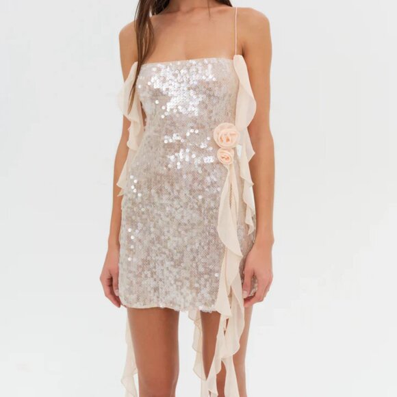 Sydney Sequin Mini Dress - Picture 2 of 13